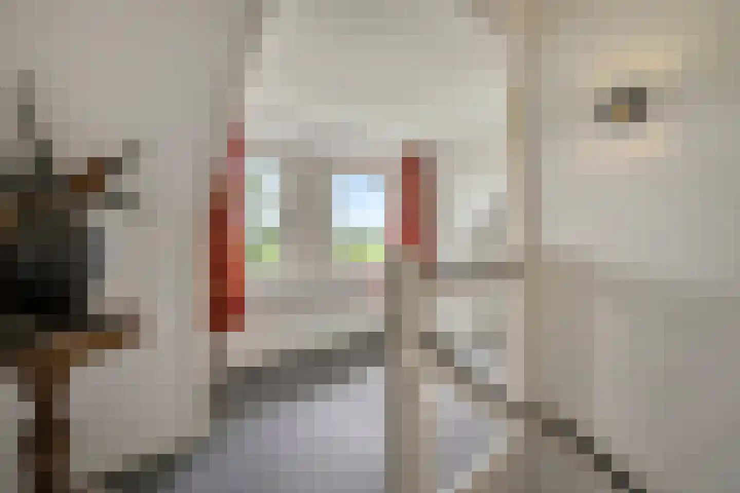 Petersdijk 3 Zuna thumbnail 35