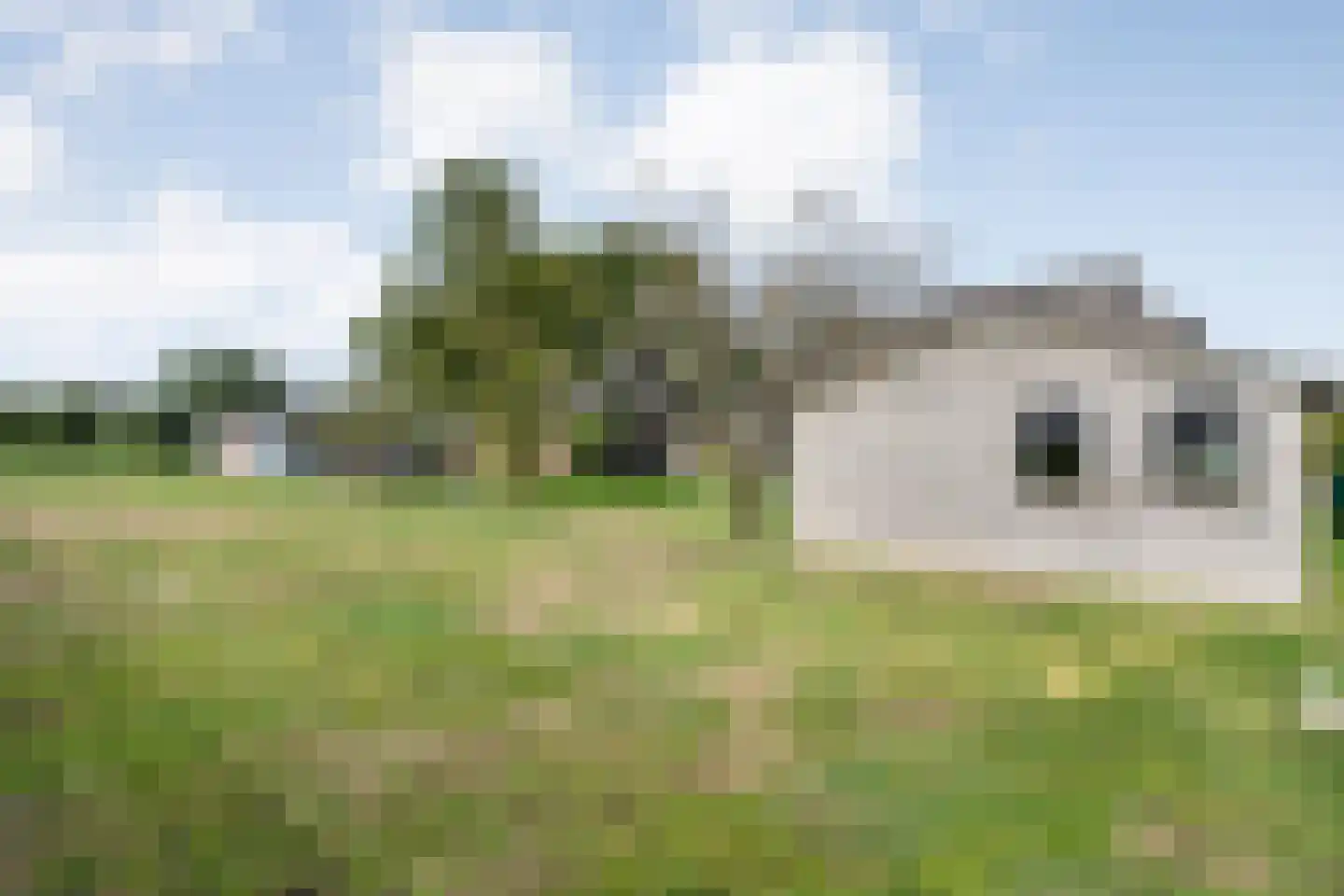 Petersdijk 3 Zuna thumbnail 51