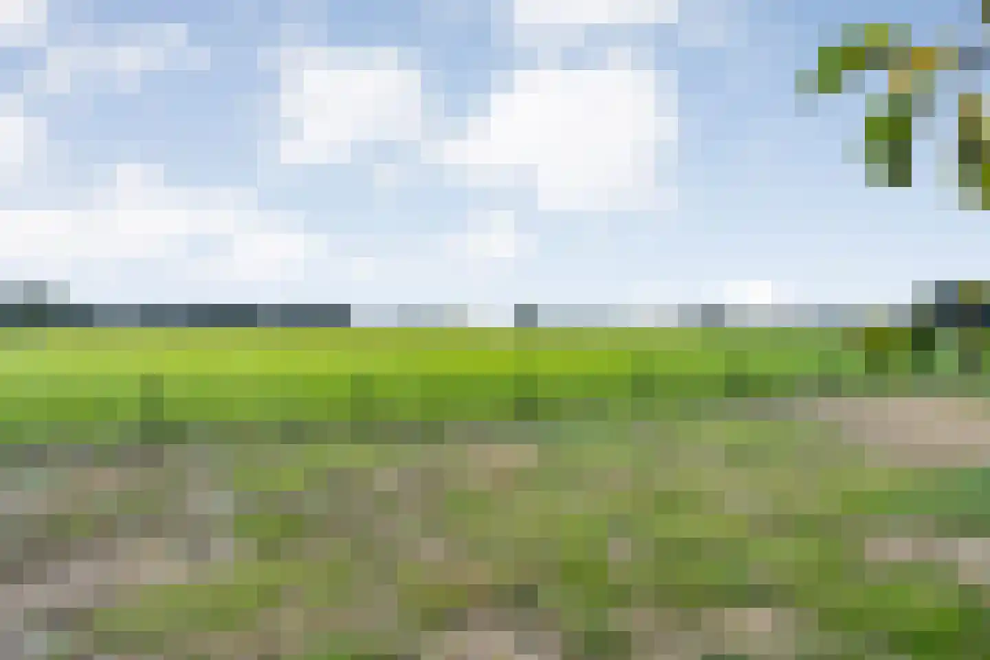 Petersdijk 3 Zuna thumbnail 52