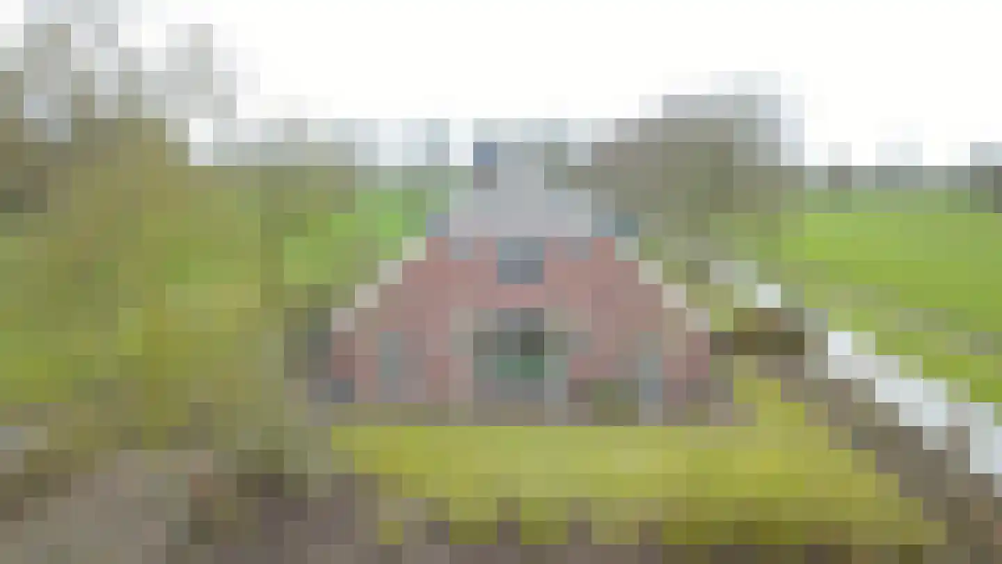 Petersdijk 8 Halle thumbnail 12