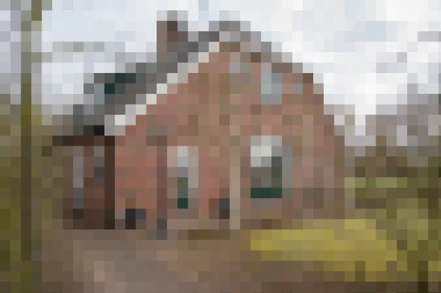 Petersdijk 8 Halle thumbnail 18