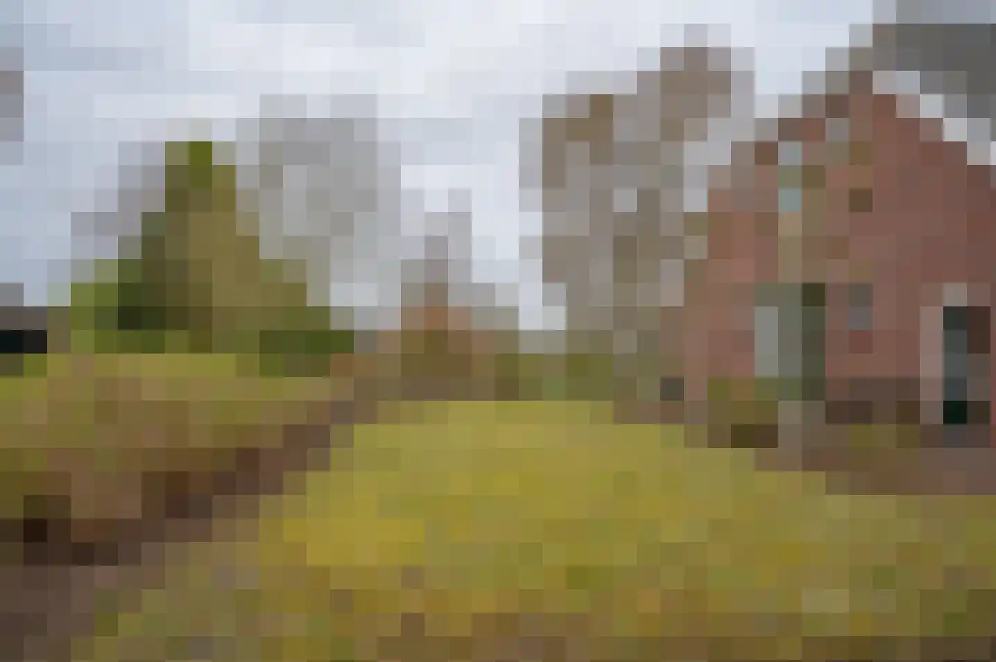 Petersdijk 8 Halle thumbnail 67