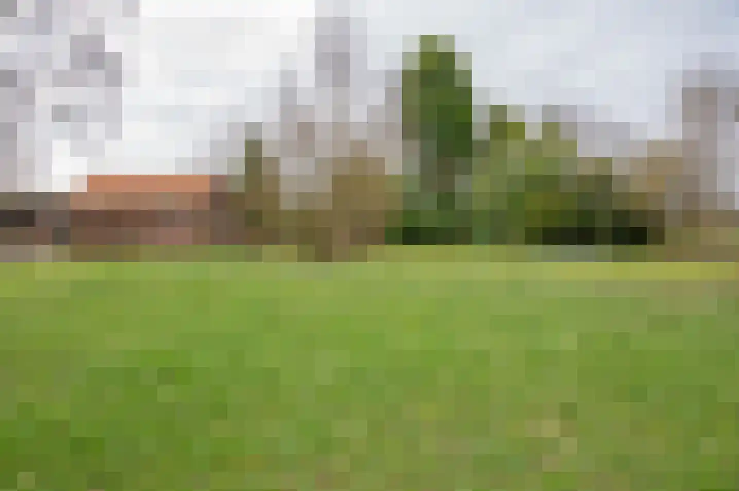 Petersdijk 8 Halle thumbnail 76