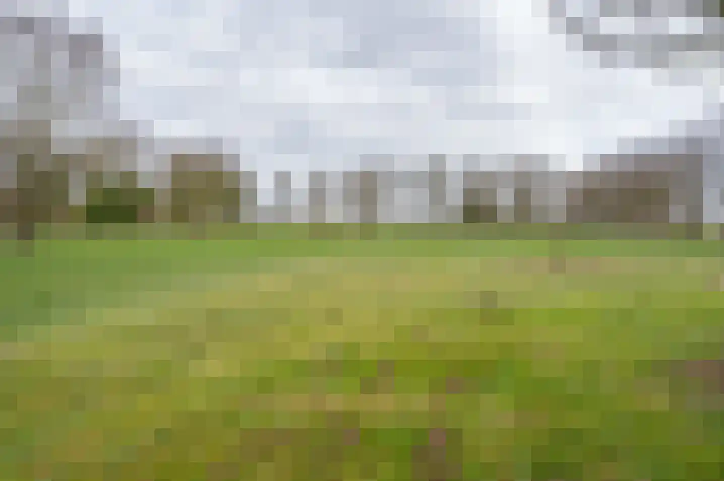 Petersdijk 8 Halle thumbnail 79
