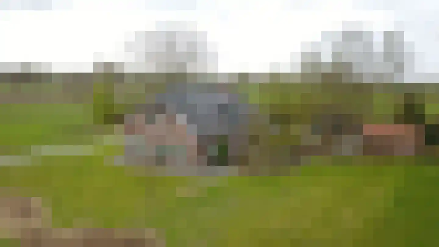 Petersdijk 8 Halle thumbnail 9