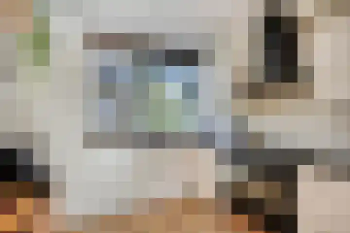 Peterselieakker 4 Zoetermeer thumbnail 10