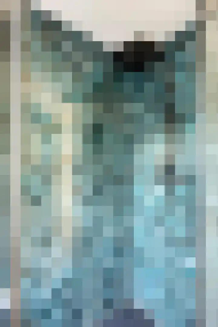 Peterselieakker 4 Zoetermeer thumbnail 20
