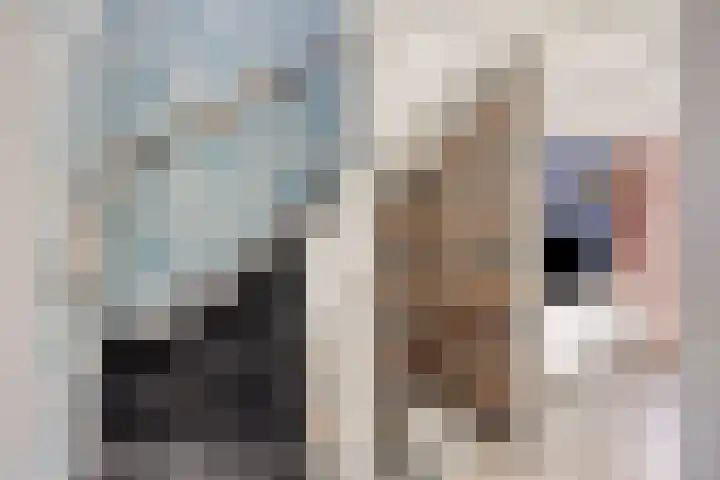 Peterselieakker 4 Zoetermeer thumbnail 21