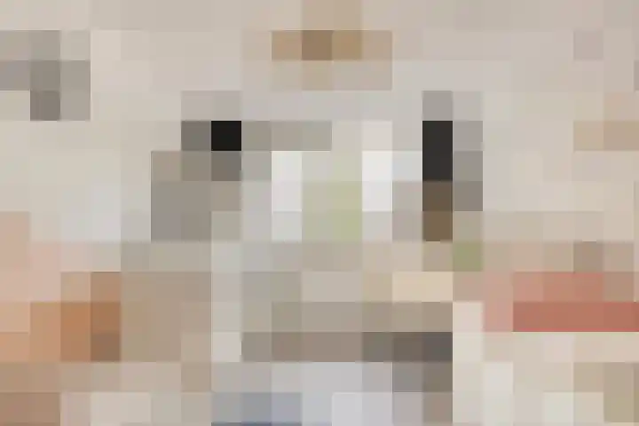 Peterselieakker 4 Zoetermeer thumbnail 22
