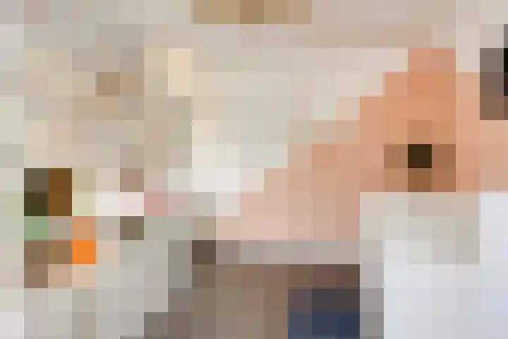 Peterselieakker 4 Zoetermeer thumbnail 23