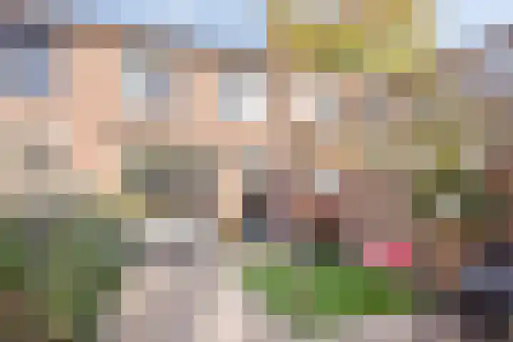 Peterselieakker 4 Zoetermeer thumbnail 27