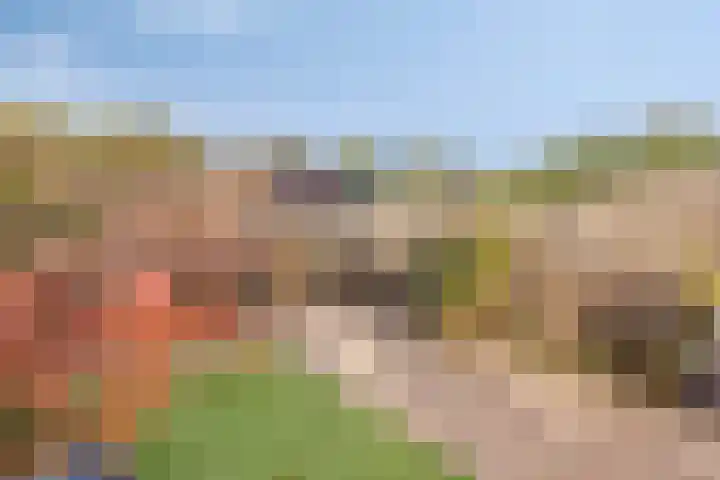 Peterselieakker 4 Zoetermeer thumbnail 28