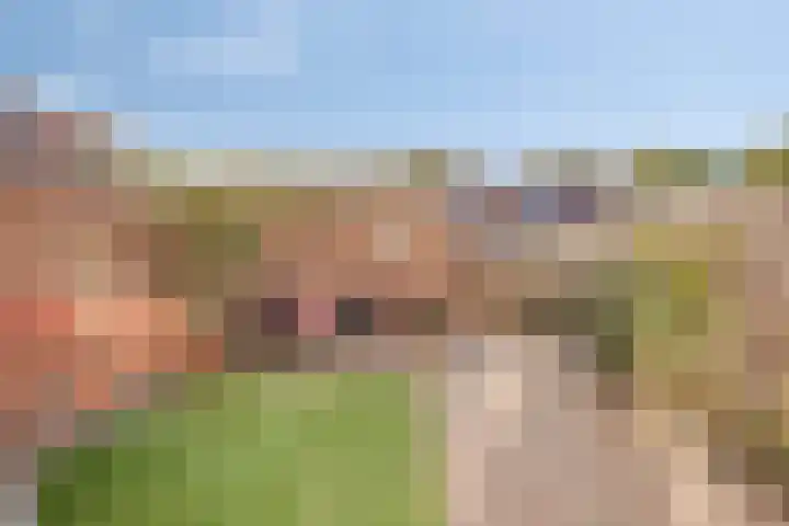 Peterselieakker 4 Zoetermeer thumbnail 29