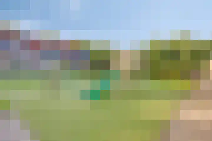 Peterselieakker 4 Zoetermeer thumbnail 30