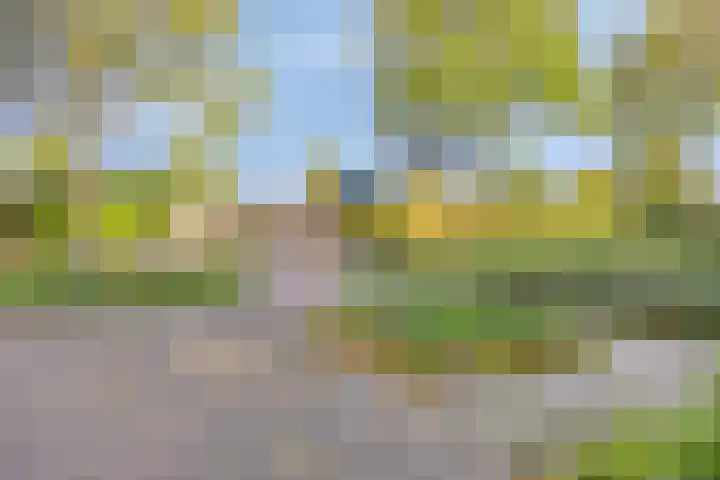 Peterselieakker 4 Zoetermeer thumbnail 31
