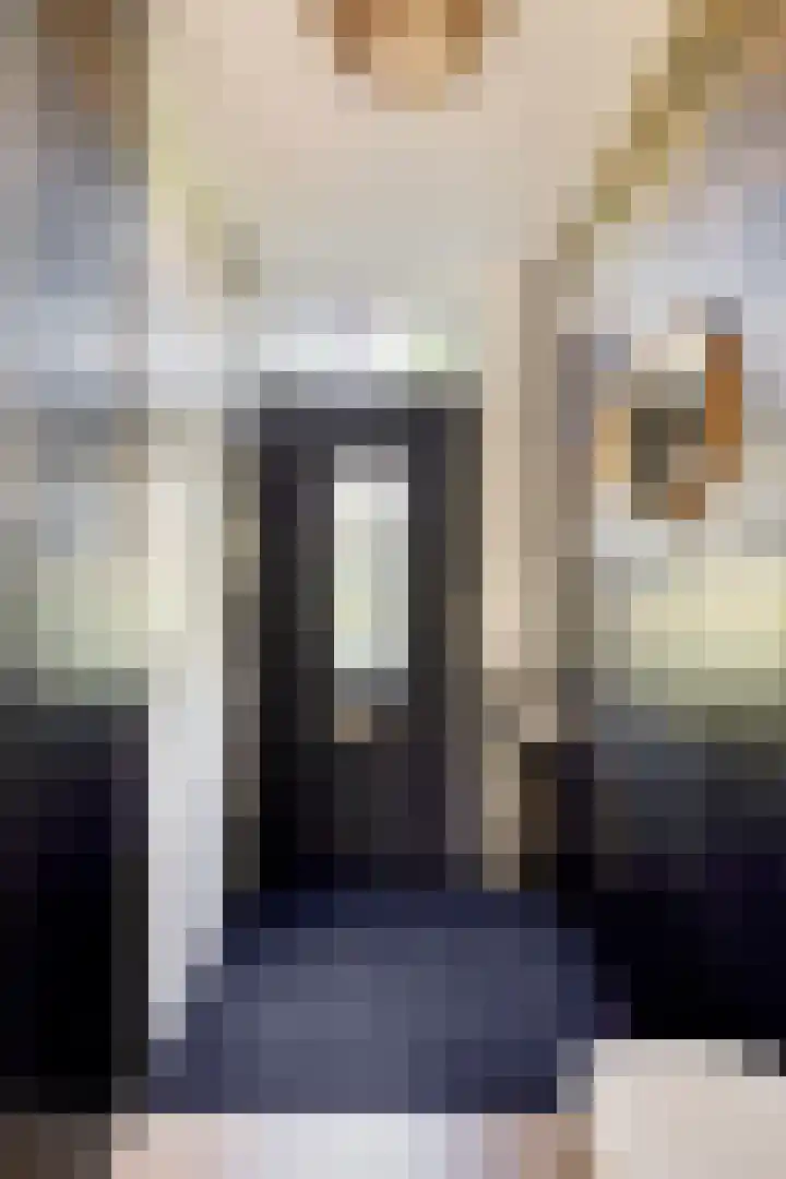 Peterselieakker 4 Zoetermeer thumbnail 4