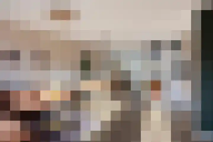 Peterselieakker 4 Zoetermeer thumbnail 7