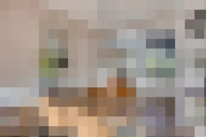 Peterselieakker 4 Zoetermeer thumbnail 8