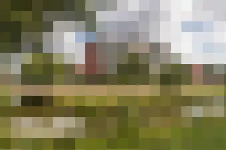 Peterseliestraat 8 in Wateringen