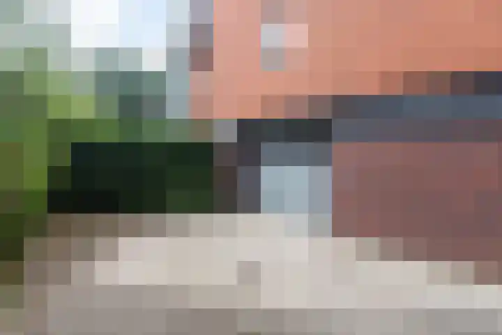 Peterseliestraat 8 Wateringen thumbnail 29
