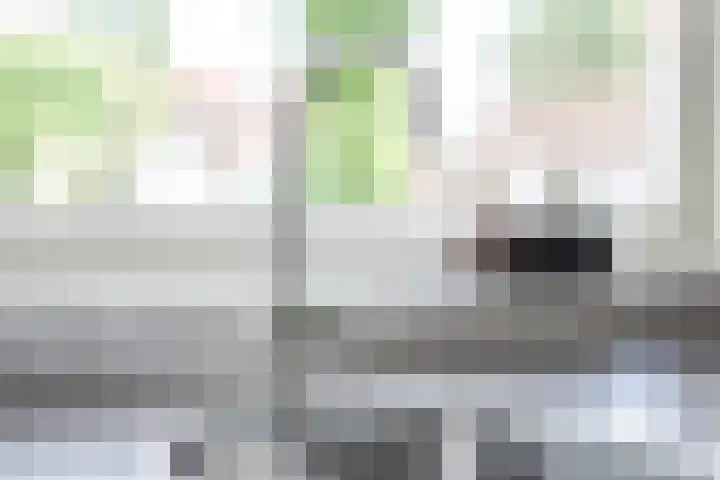 Petershemstraat 24 Hilvarenbeek thumbnail 12