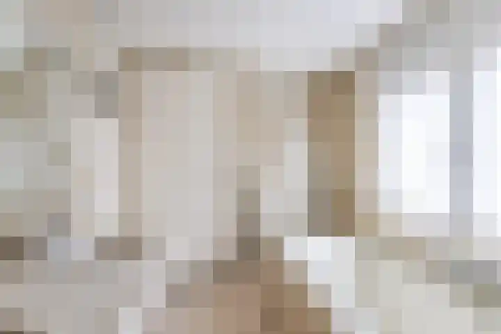 Petershemstraat 24 Hilvarenbeek thumbnail 31
