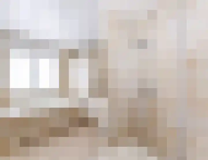 Petershemstraat 24 Hilvarenbeek thumbnail 32