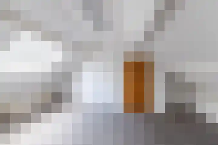 Petershemstraat 24 Hilvarenbeek thumbnail 36