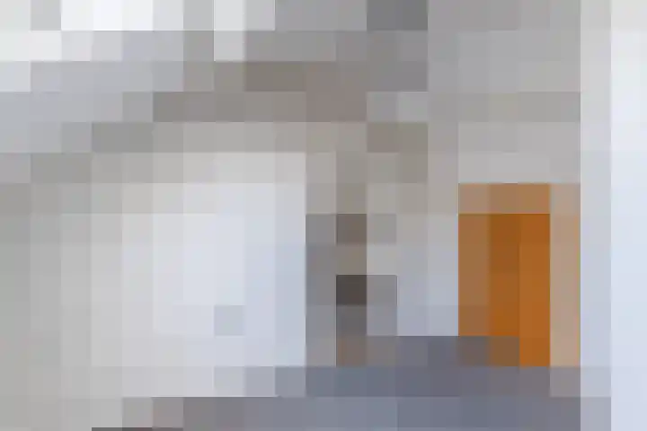 Petershemstraat 24 Hilvarenbeek thumbnail 37