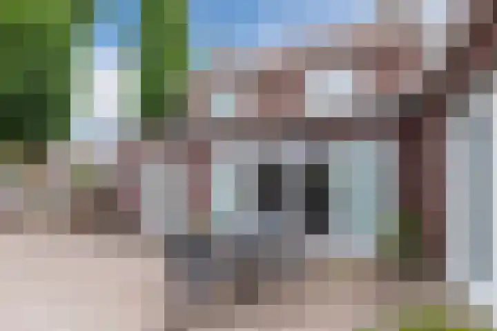 Petershemstraat 24 Hilvarenbeek thumbnail 42