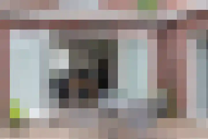 Petershemstraat 24 Hilvarenbeek thumbnail 45