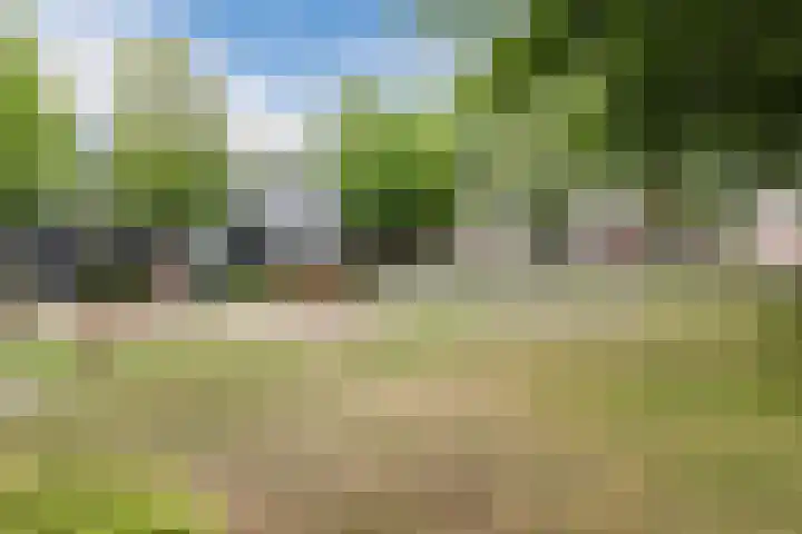 Petershemstraat 24 Hilvarenbeek thumbnail 53
