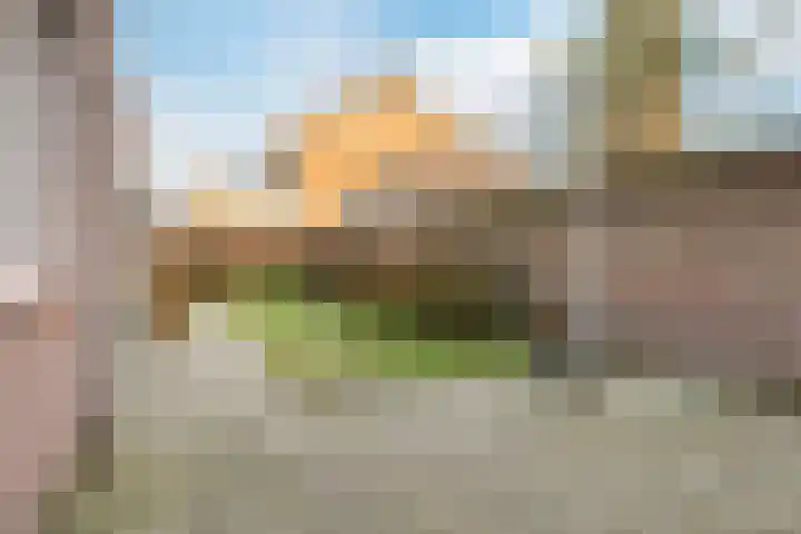 Petershemstraat 32 Hilvarenbeek thumbnail 30