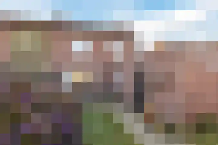 Petershemstraat 32 Hilvarenbeek thumbnail 31