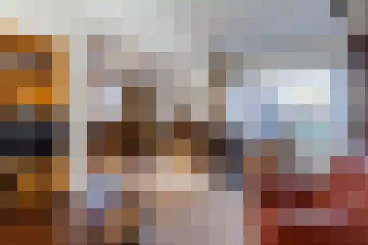 Petershemstraat 32 Hilvarenbeek thumbnail 5