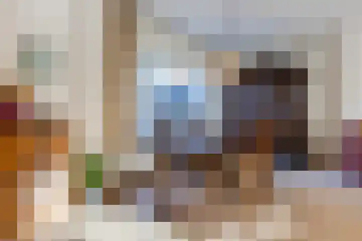 Petershemstraat 32 Hilvarenbeek thumbnail 7