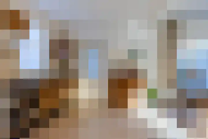 Petershemstraat 32 Hilvarenbeek thumbnail 9