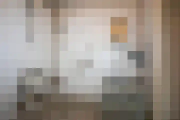 Peterskamplaan 104 Oldenzaal thumbnail 23