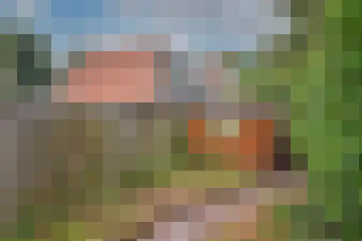 Peterskamplaan 104 Oldenzaal thumbnail 4