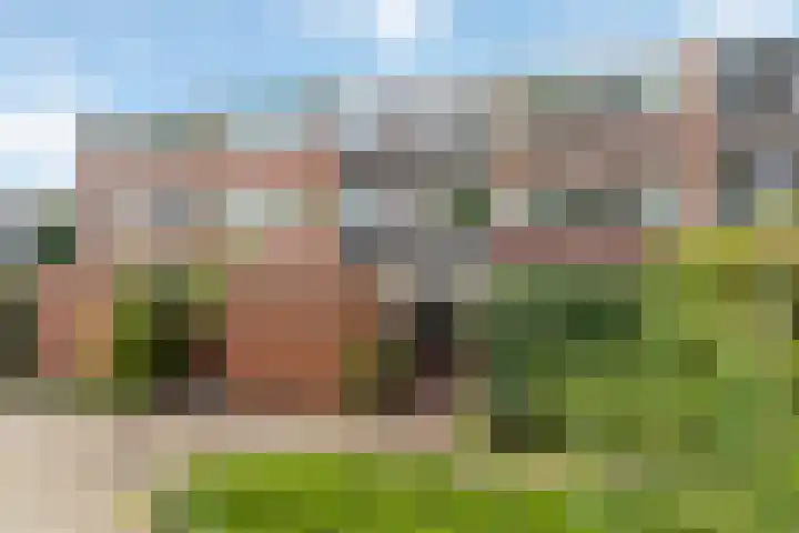 Peterskamplaan 13 Oldenzaal thumbnail 5