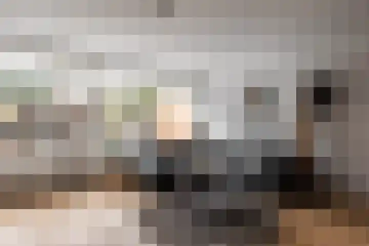 Peterskamplaan 13 Oldenzaal thumbnail 6