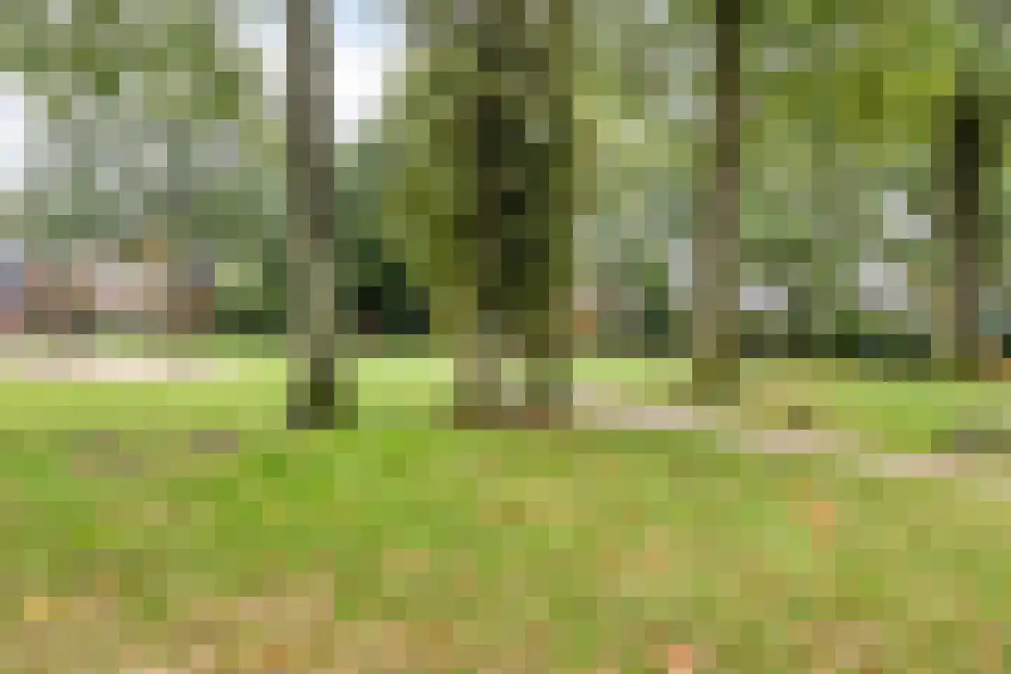 Peterskamplaan 31 Oldenzaal thumbnail 27