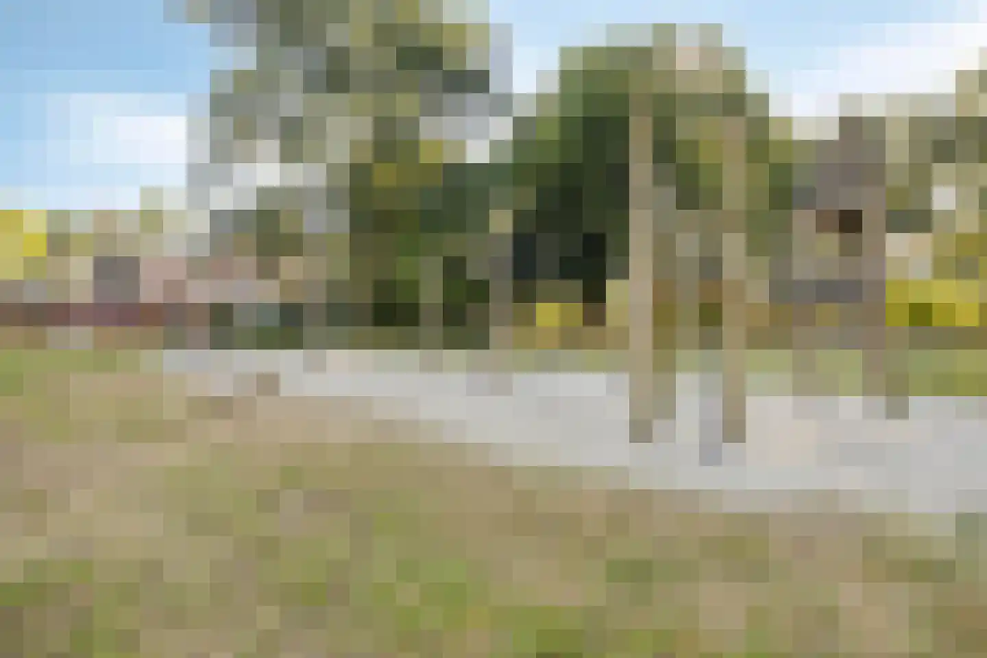 Peterskamplaan 64 Oldenzaal thumbnail 30