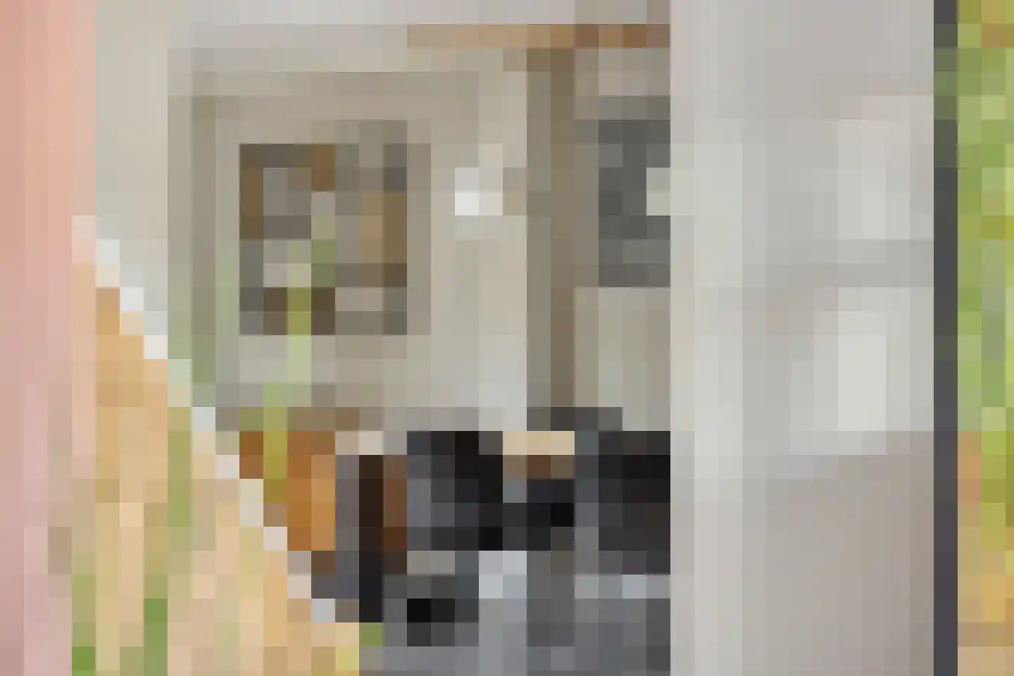 Peterskamplaan 64 Oldenzaal thumbnail 6
