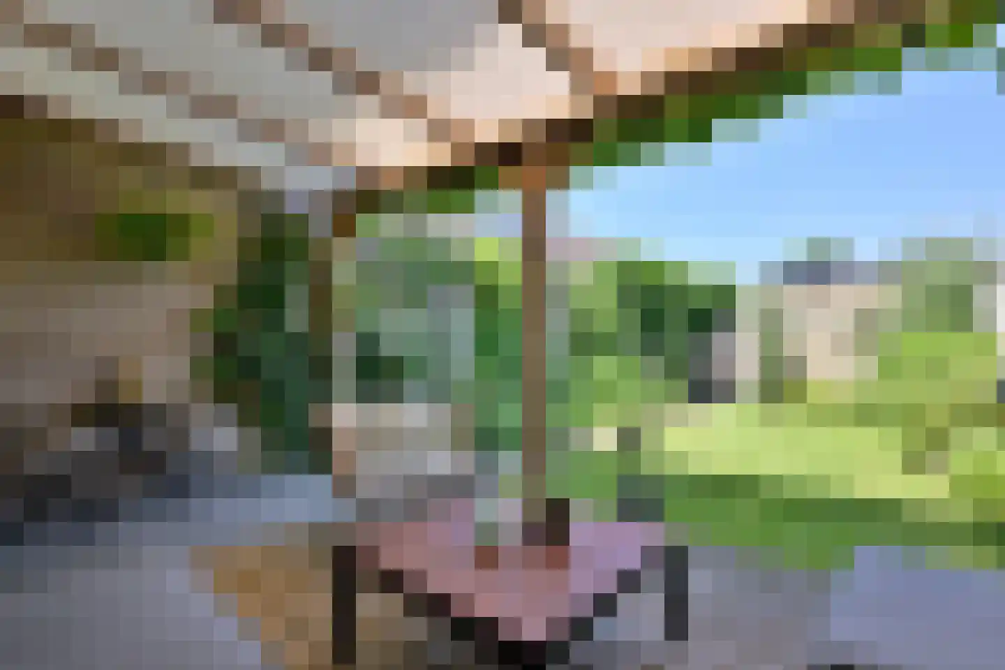 Peterspad 8 Deventer thumbnail 12