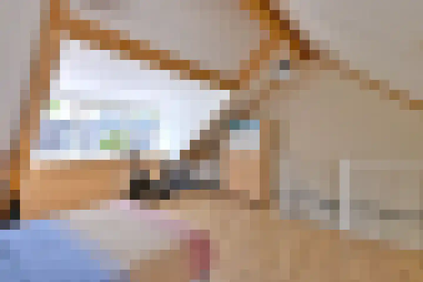 Peterspad 8 Deventer thumbnail 31