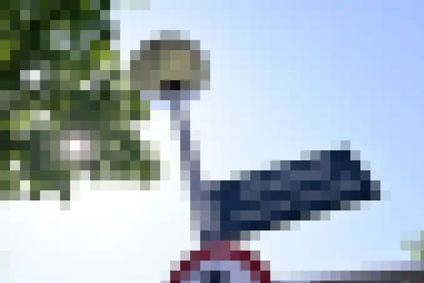 Peterspad 8 Deventer thumbnail 35