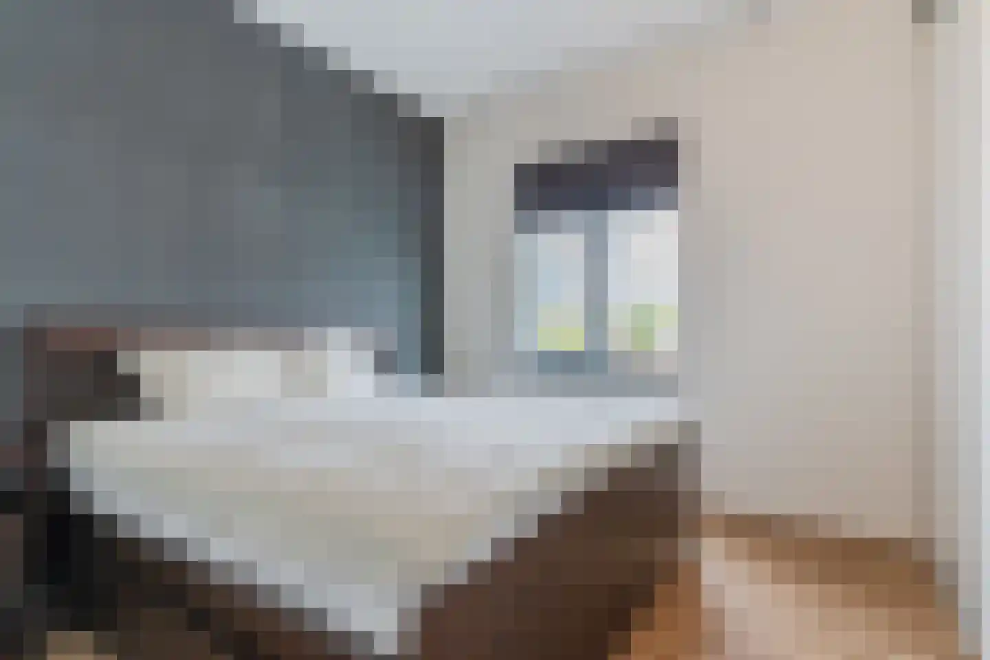 Peterspèèjke 19 Valkenswaard thumbnail 20