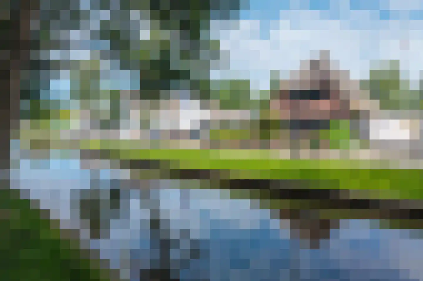 Petersteeg 3 Giethoorn foto 2