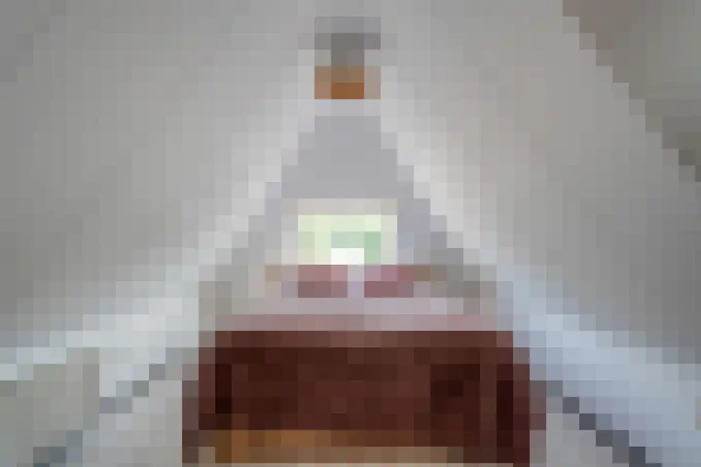 Petersteeg 3 Giethoorn thumbnail 38